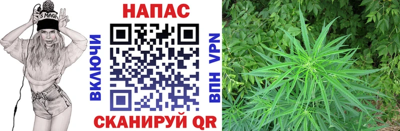 цены наркотик  Азов  Конопля сатива 